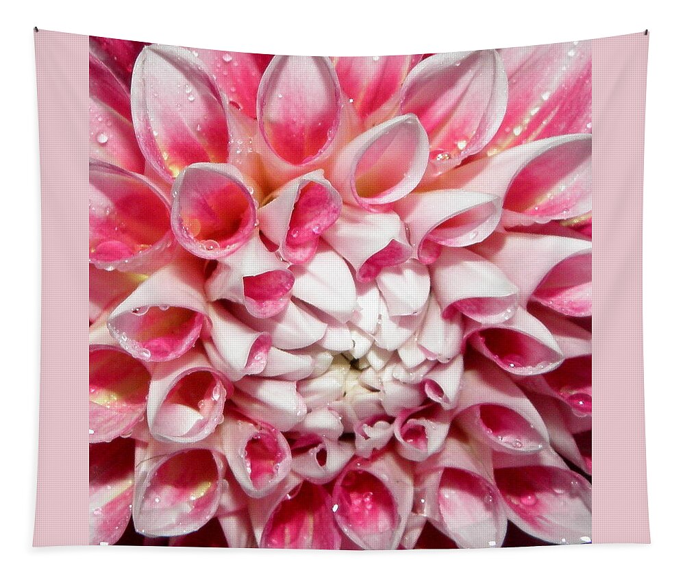 Dahlia Tapestry featuring the photograph Dahlia by night closeup and personal by Kim Galluzzo