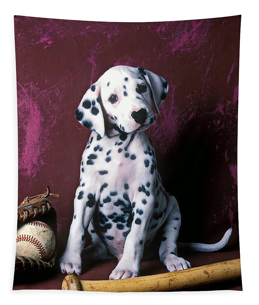 Dalmatian Puppies Tapestry featuring the photograph Dalmatian puppy with baseball by Garry Gay