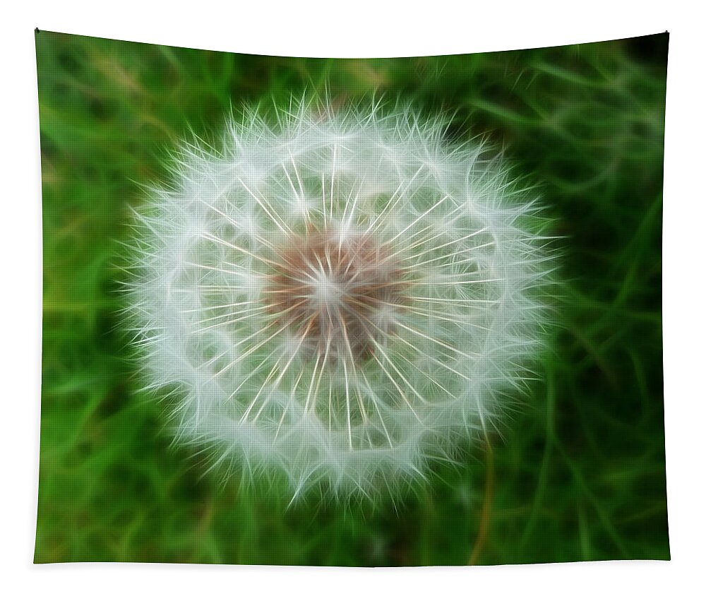 Dandelion Seed Head With Fractalius Effect Tapestry featuring the photograph Dandelion Seed Head by Lynn Bolt