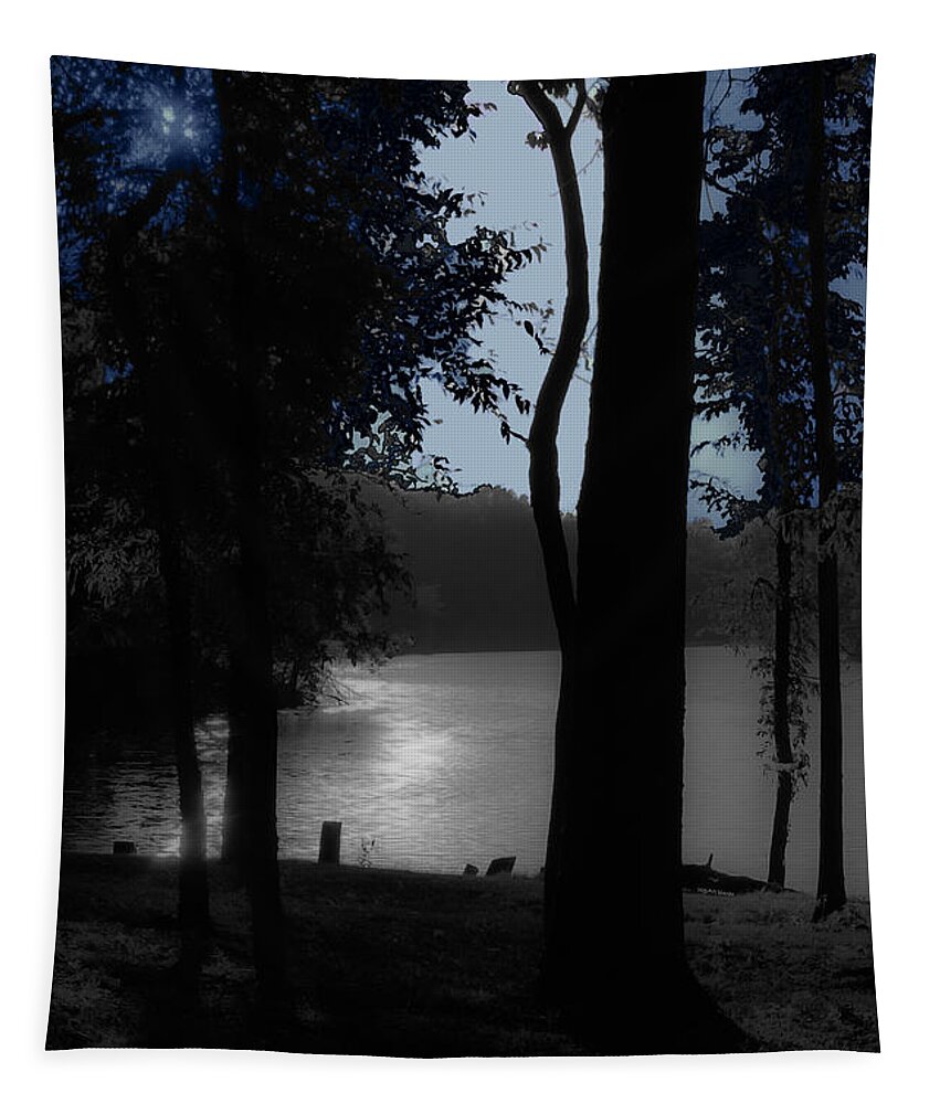 Lake Tapestry featuring the photograph Day or Night by DigiArt Diaries by Vicky B Fuller