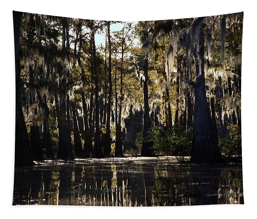 Swamp Tapestry featuring the photograph Deep Swamp by Ron Weathers