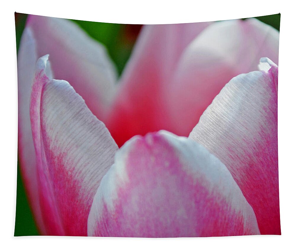 Tulip Tapestry featuring the photograph Deluscious by Melanie Moraga