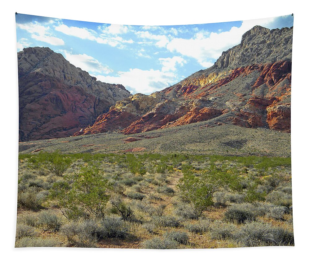 Desert Fire Stone Tapestry featuring the photograph Desert Fire Stone by Frank Wilson
