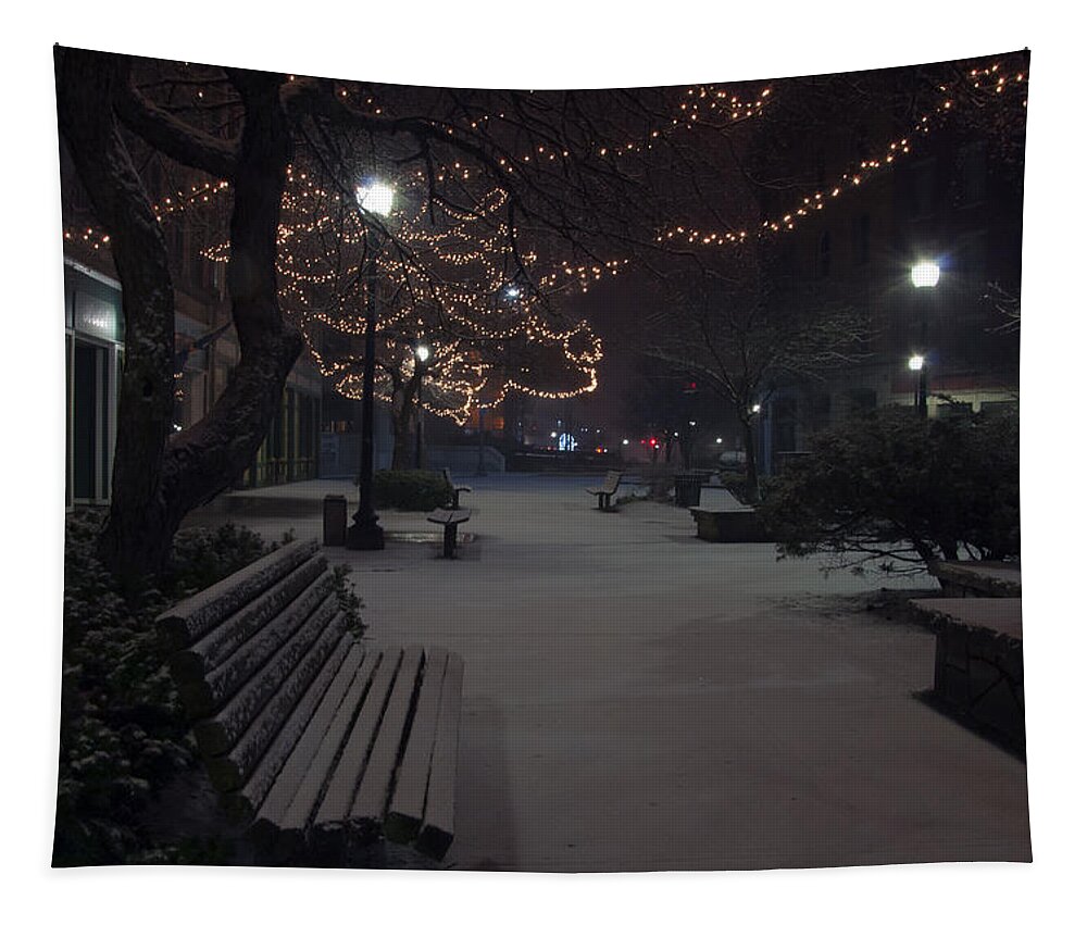 Downtown Tapestry featuring the photograph Downtown winter by Glenn Gordon