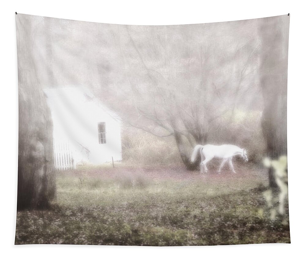 White Horse Tapestry featuring the photograph Dream Horse by Marianne Campolongo