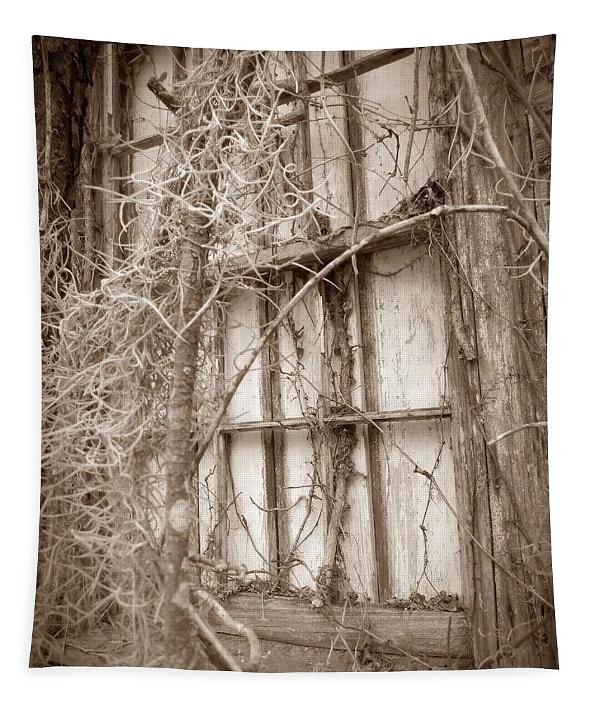 Window Tapestry featuring the photograph Dream Lost by Leslie Revels