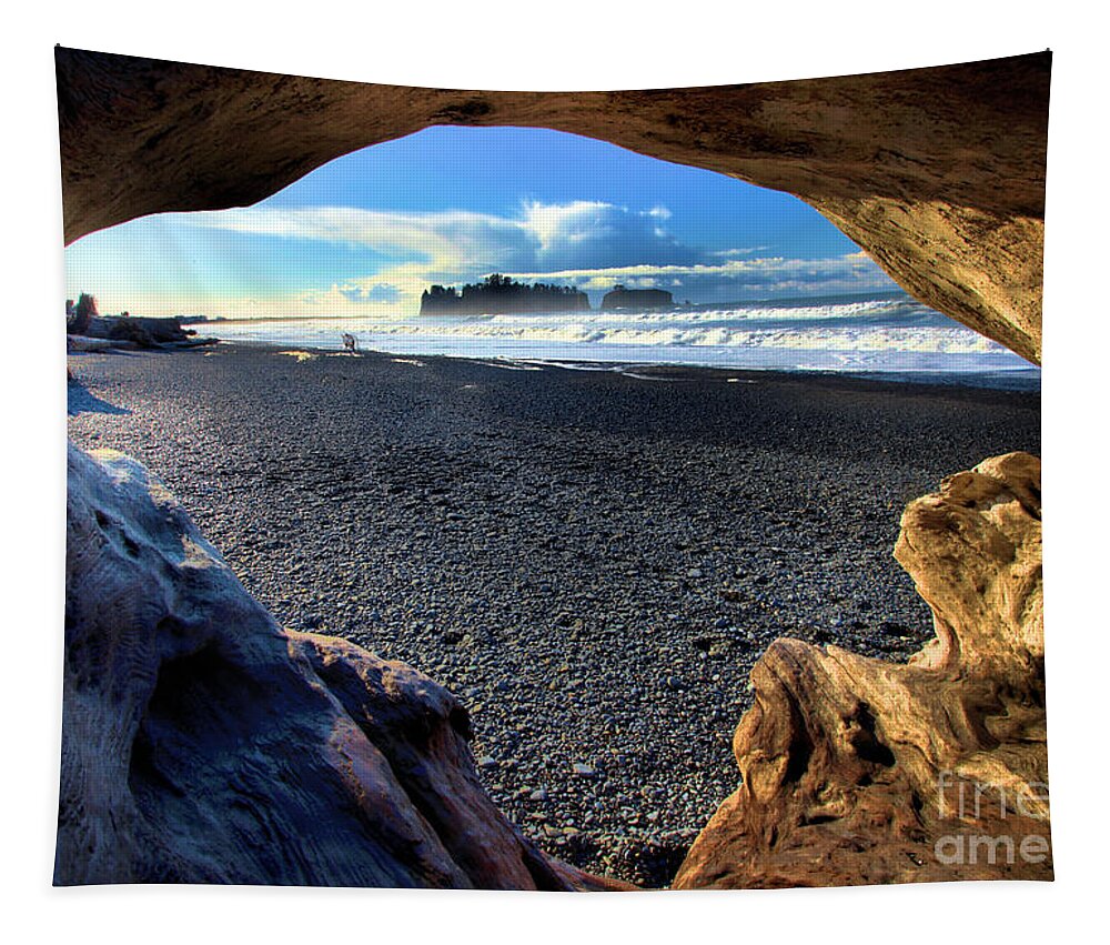Rialto Beach Tapestry featuring the photograph Drift Wood Island by Adam Jewell