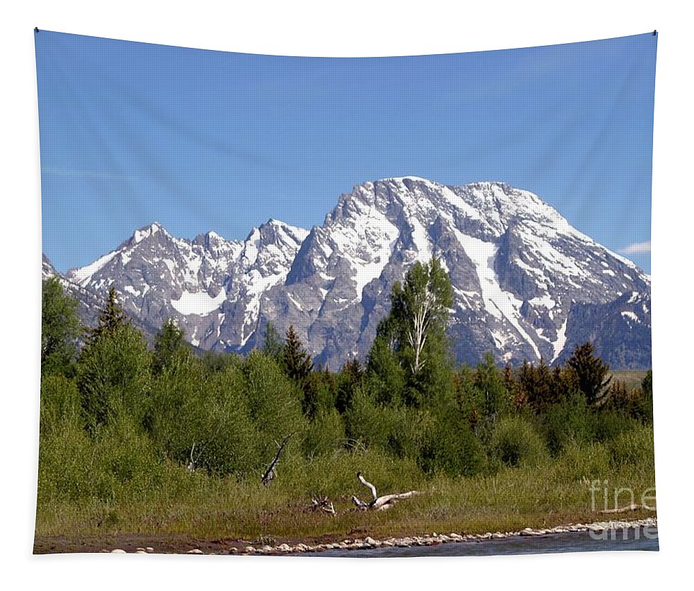 Grand Tetons Tapestry featuring the photograph Driftwood And The Grand Tetons by Living Color Photography Lorraine Lynch
