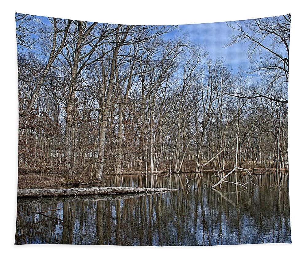 Pond Tapestry featuring the photograph Early Spring Reflections by Scott Wood
