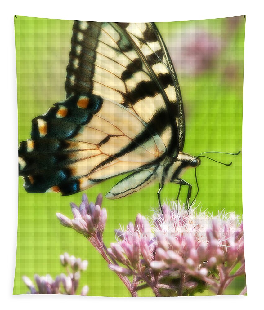 Butterfly Tapestry featuring the photograph Eastern Tiger Swallowtail by Craig Leaper