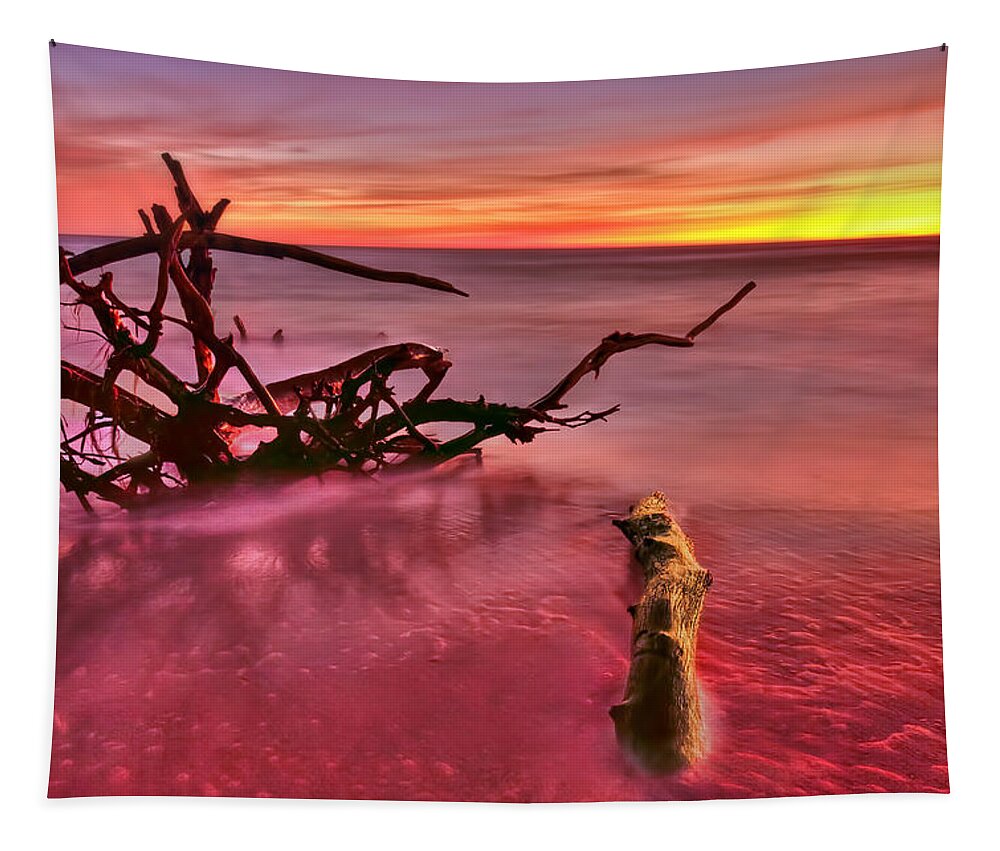 Sunset Tapestry featuring the photograph Entangled by Evelina Kremsdorf