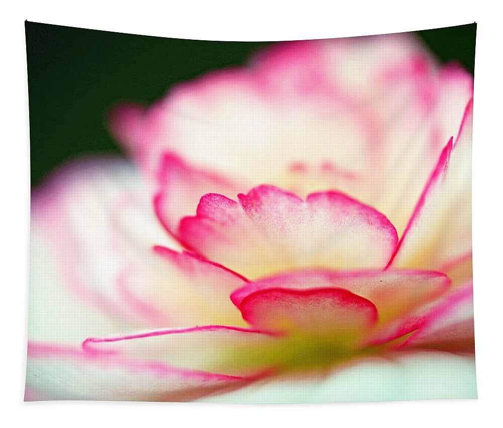 Flower Tapestry featuring the photograph Every Moment... by Melanie Moraga