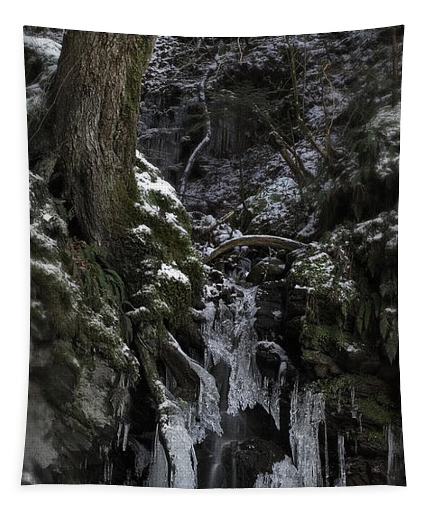 Reelig Tapestry featuring the photograph Everything stops for winter by Joe Macrae