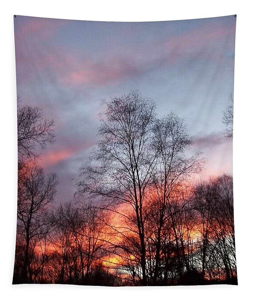 Sunset Tapestry featuring the photograph Explosions Of Color by Kim Galluzzo