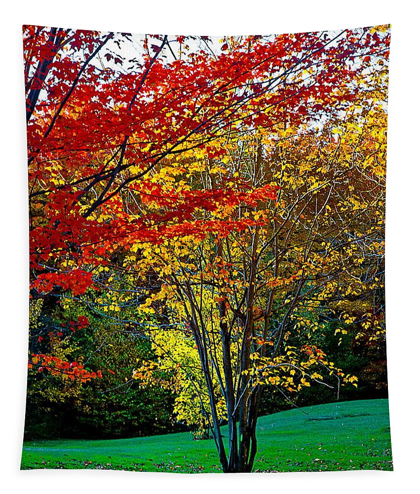 Fall Tapestry featuring the photograph Fall Buddies by Burney Lieberman