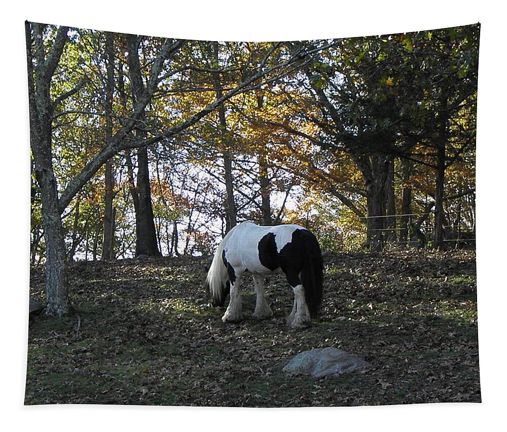 Fall Tapestry featuring the photograph Fall Graze by Kim Galluzzo