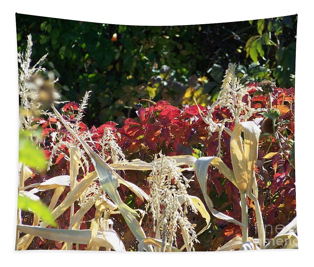 Fall Colors Tapestry featuring the photograph Fall Harvest of Color by Dorrene BrownButterfield