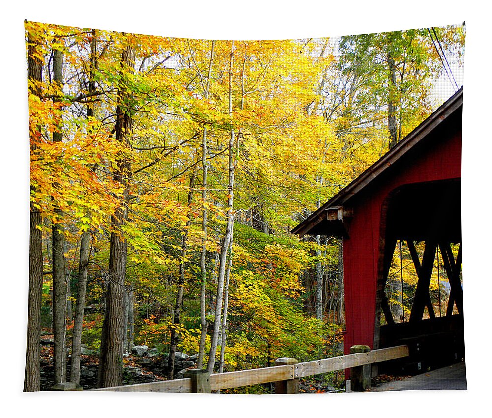 Fall Setting Tapestry featuring the photograph Fall in New England by Kim Galluzzo Wozniak