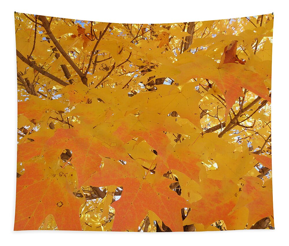 Fall Tapestry featuring the photograph Fall in New England by Kim Galluzzo Wozniak