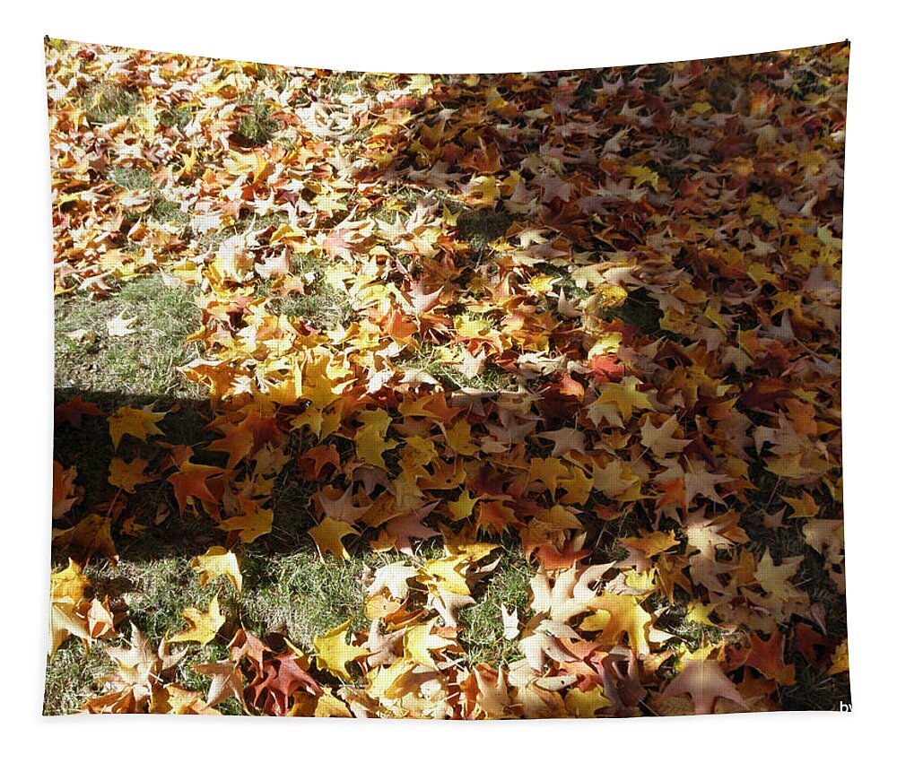 Leaves Tapestry featuring the photograph Fallen Leaves by Kim Galluzzo