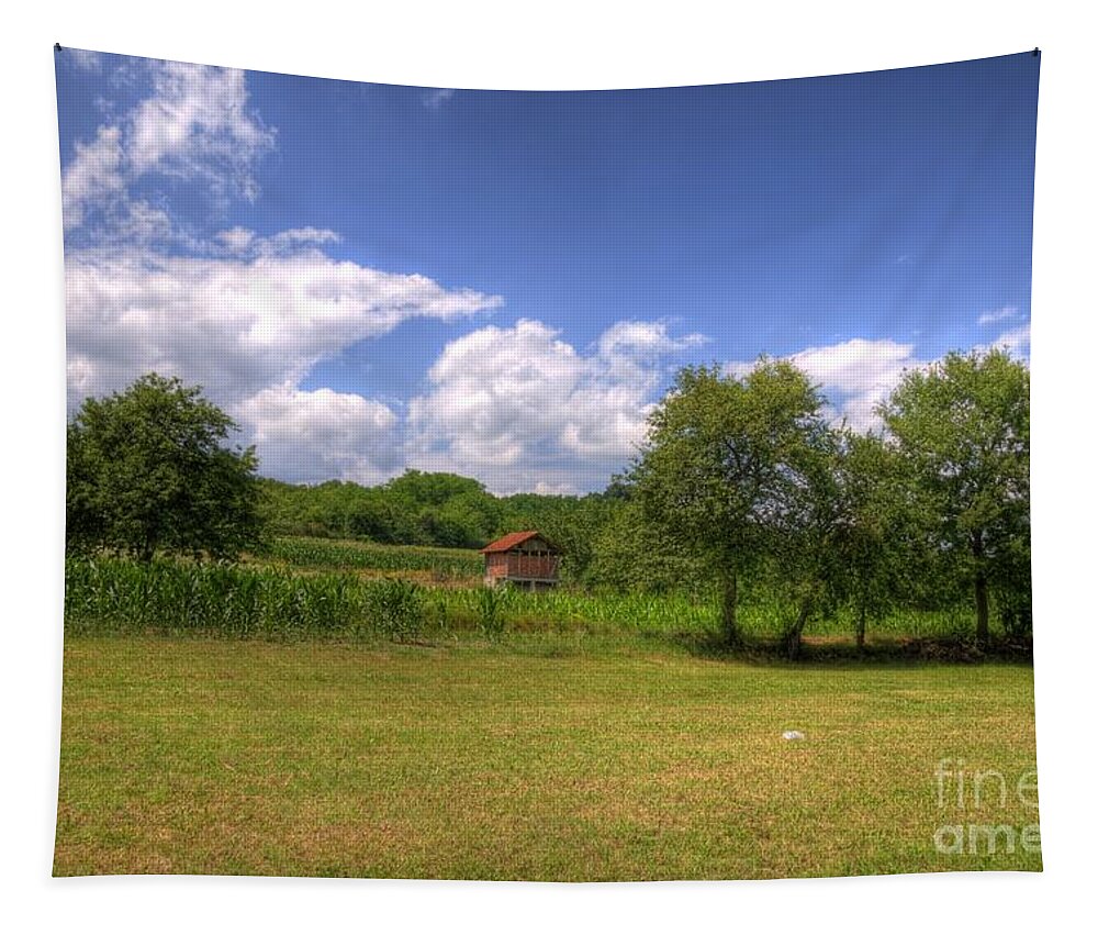 House Tapestry featuring the photograph Farm house by Dejan Jovanovic