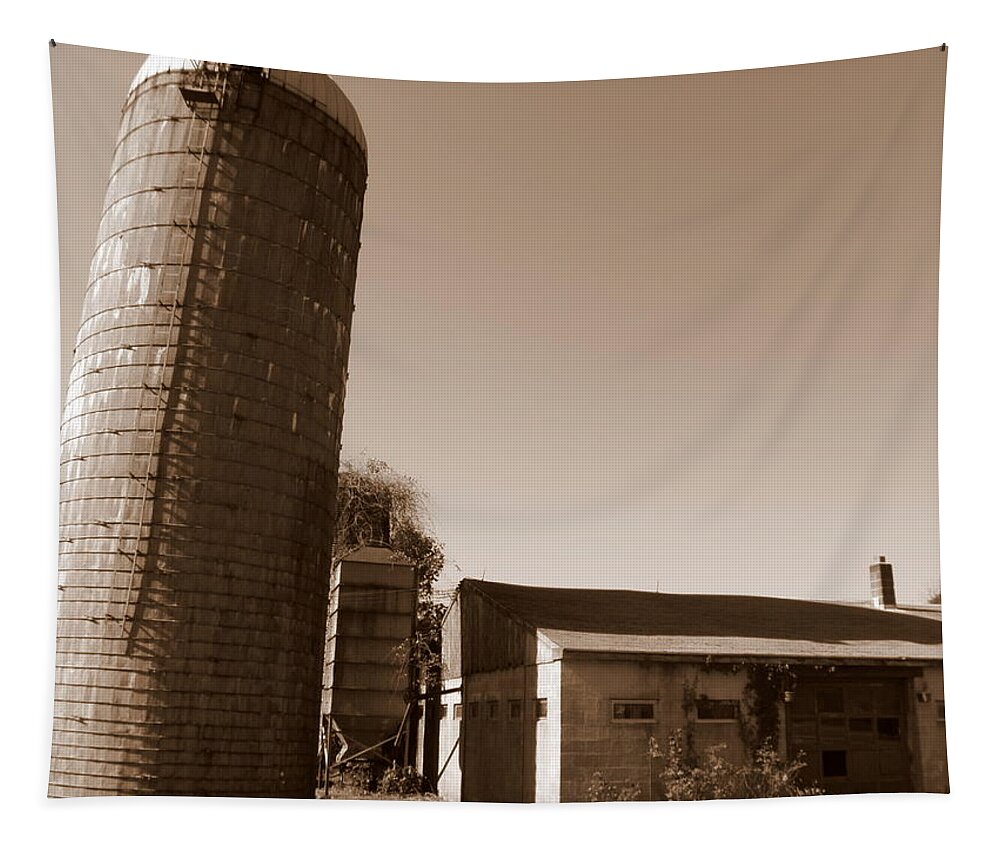 Farm Tapestry featuring the photograph Farm In History by Kim Galluzzo