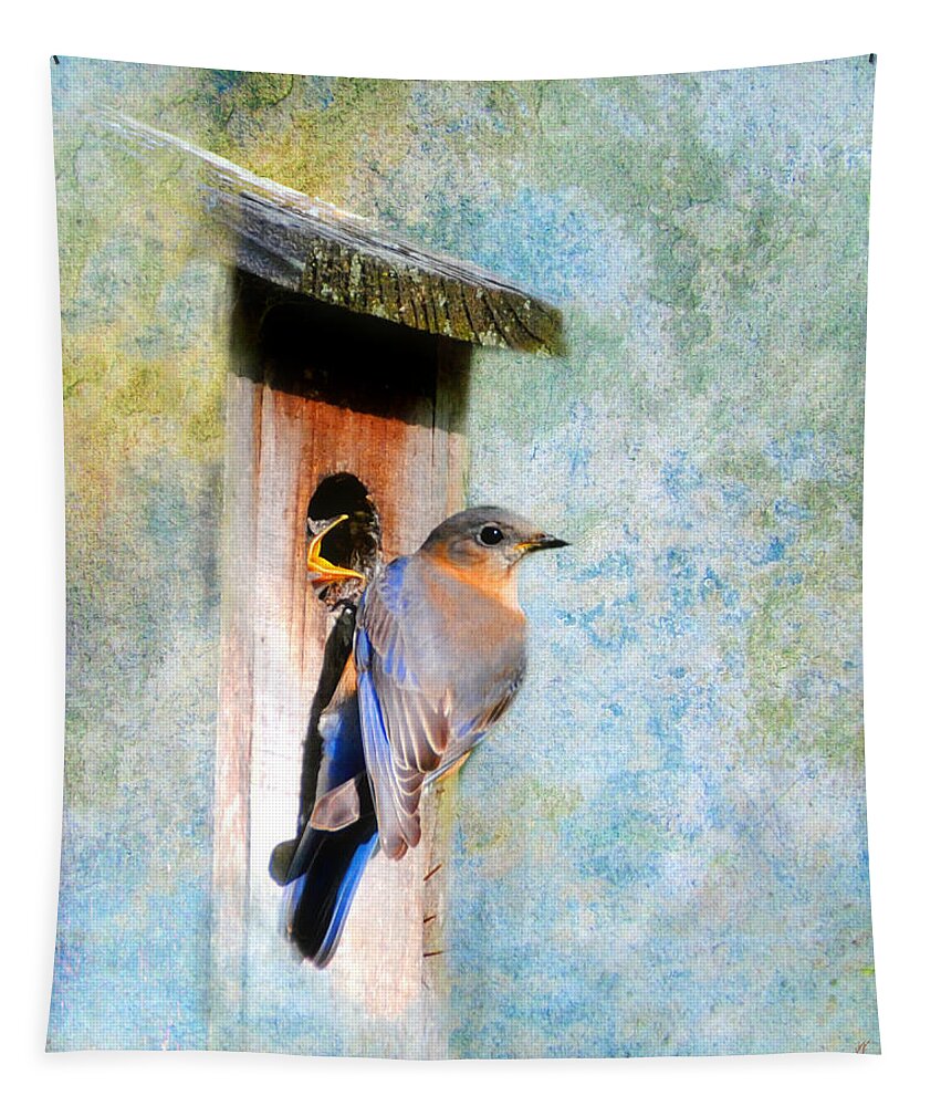 Bluebird Tapestry featuring the photograph Female Eastern Bluebird at Nesting Box by Jai Johnson