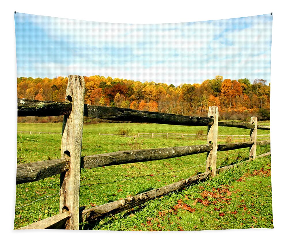 Fence Tapestry featuring the photograph Fenced Pasture in Autumn by Kristin Elmquist