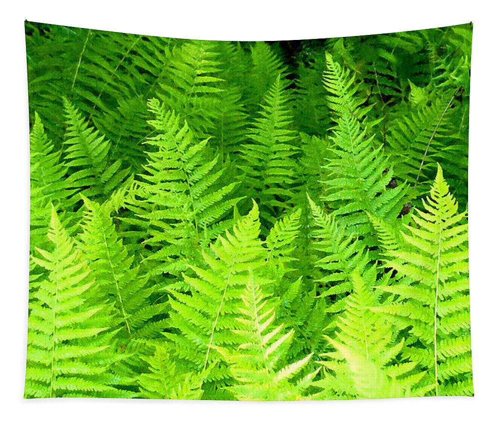 Ferns Tapestry featuring the photograph Ferns Galore filtered by Duane McCullough