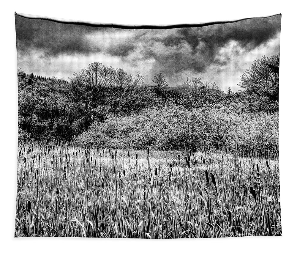 Cattails Tapestry featuring the photograph Field of Cattails II by David Patterson