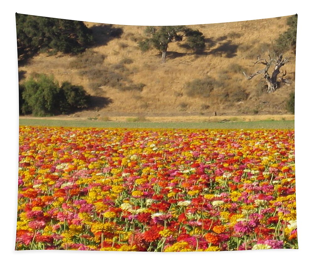 Solvang Tapestry featuring the photograph Field of Flowers Solvang California by John Shiron