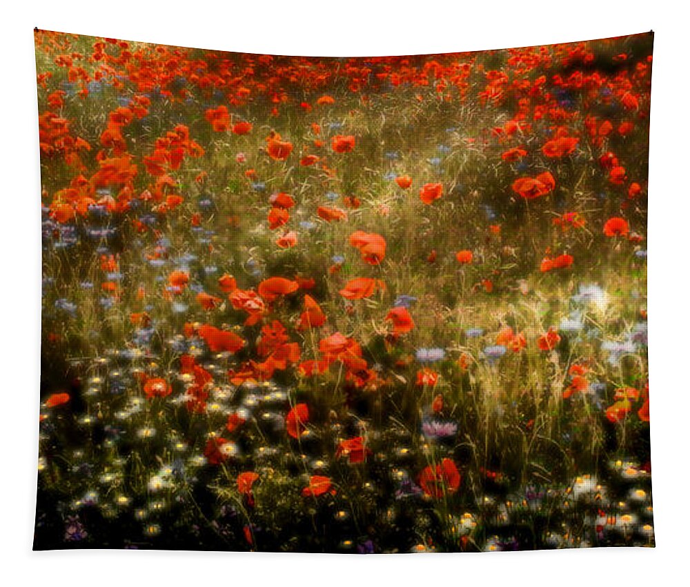 Floral Tapestry featuring the photograph Field of Wildflowers by Ellen Heaverlo