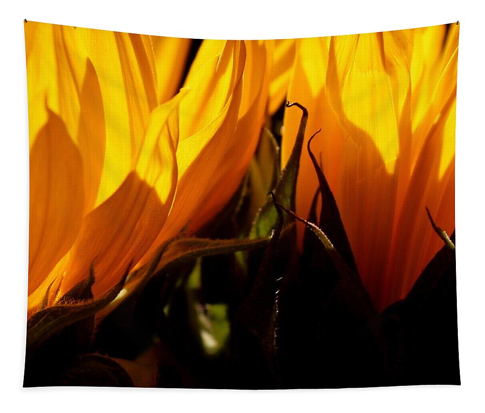 Fiery Tapestry featuring the photograph Fiery Sunflowers by Kume Bryant