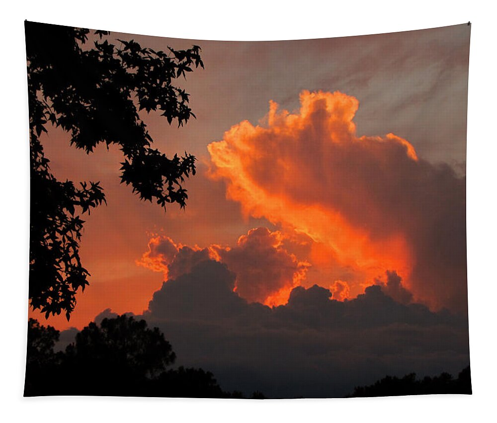 Sunset Tapestry featuring the photograph Fiery Sunset by Peggy Urban