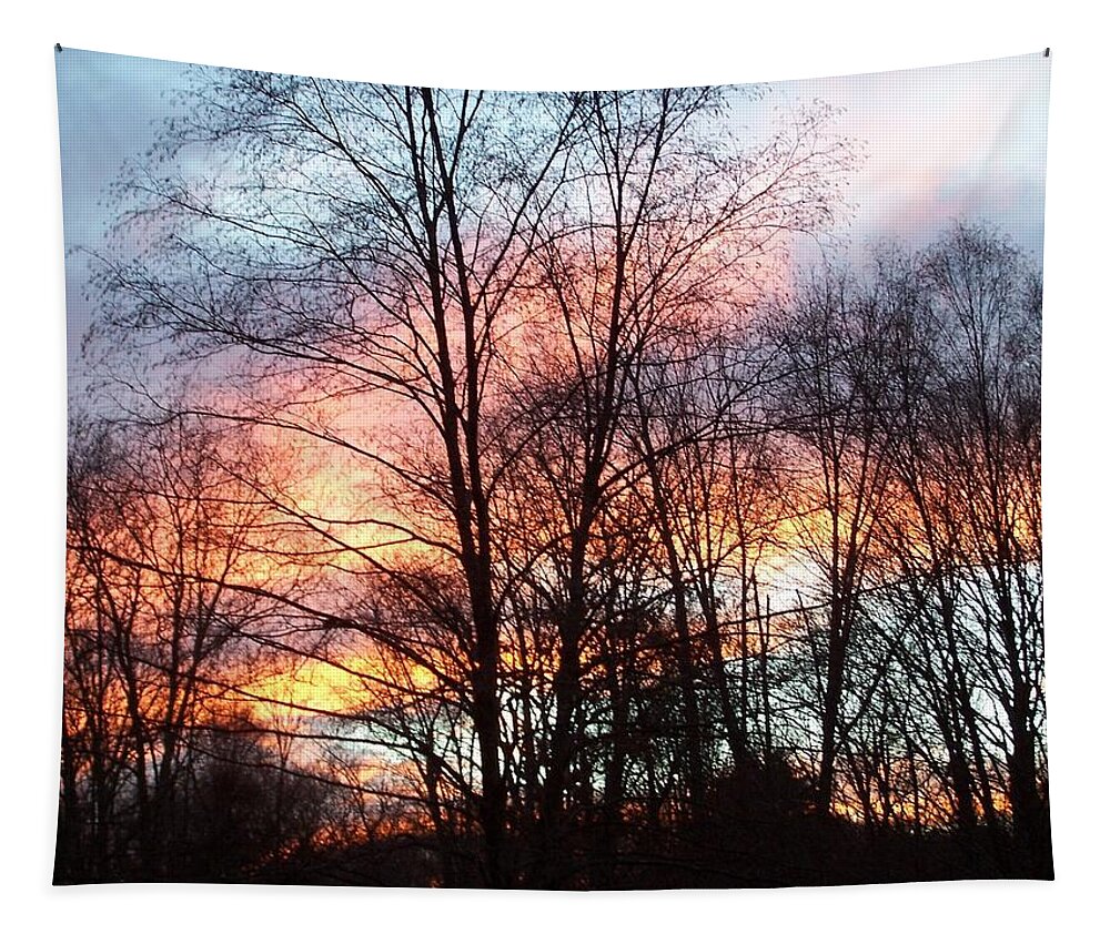 Sunset Tapestry featuring the photograph Fire In The Sky by Kim Galluzzo