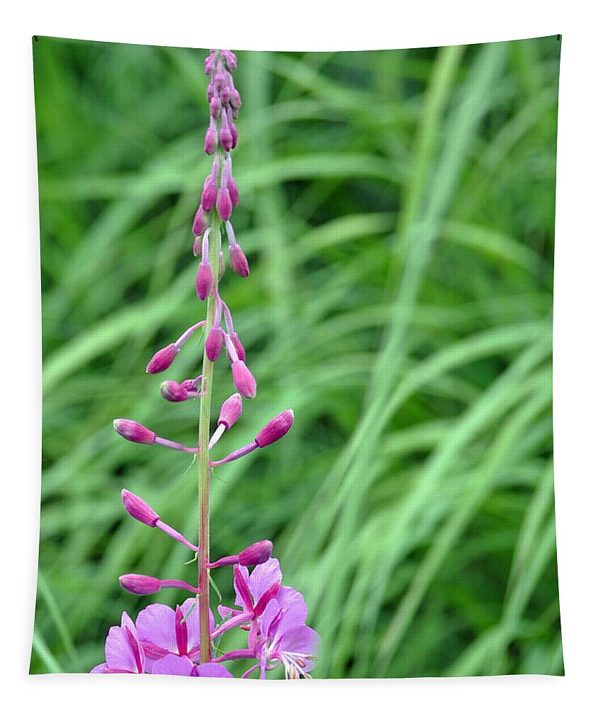Alaska Tapestry featuring the photograph Fireweed by Lisa Phillips