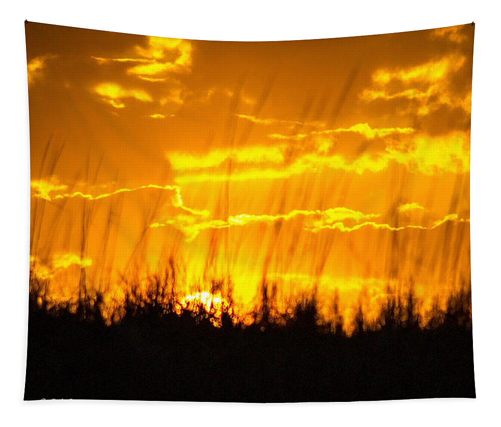 Sunset Tapestry featuring the photograph Firey Sunset by Shannon Harrington