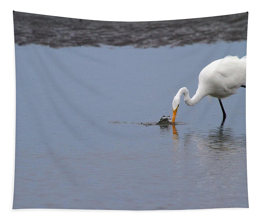 Egret Tapestry featuring the photograph Fishing for a Meal by Karol Livote