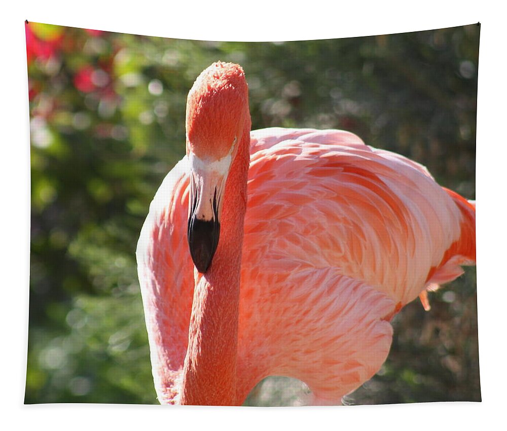 Flamingo Tapestry featuring the photograph Flamingo by Kim Galluzzo