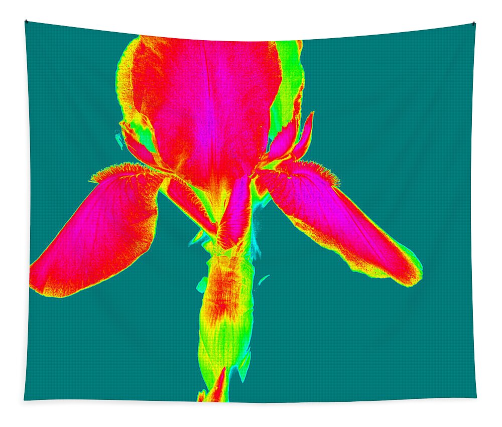 Computer Generated Photo Tapestry featuring the photograph Flora Color explosion by Kim Galluzzo