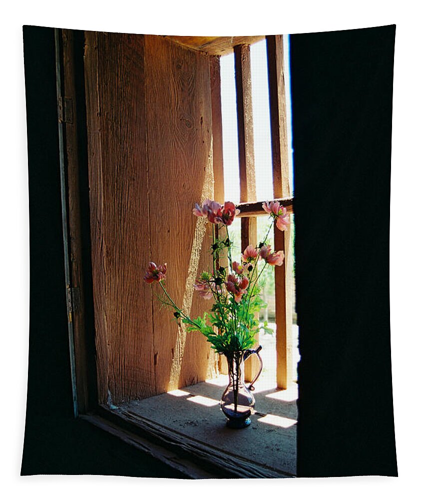 Santa Fe Tapestry featuring the photograph Flower In Window by Ron Weathers