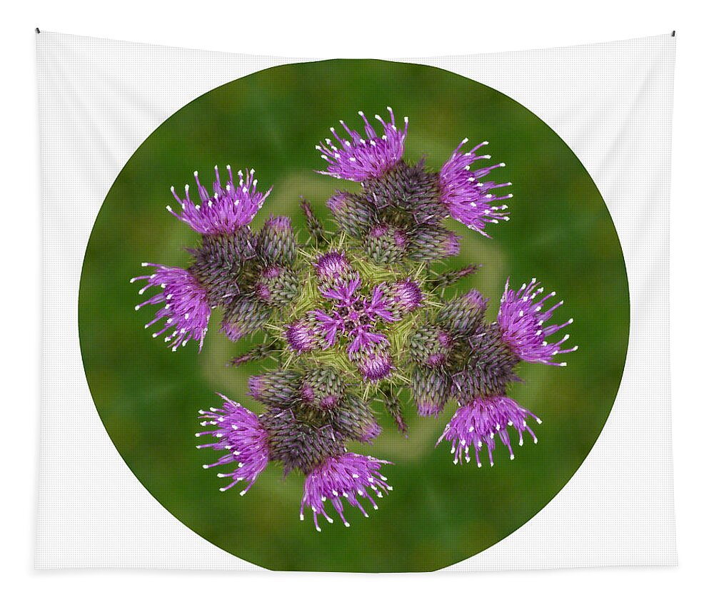 Scottish Thistle Tapestry featuring the photograph Flower of Scotland by Lynn Bolt