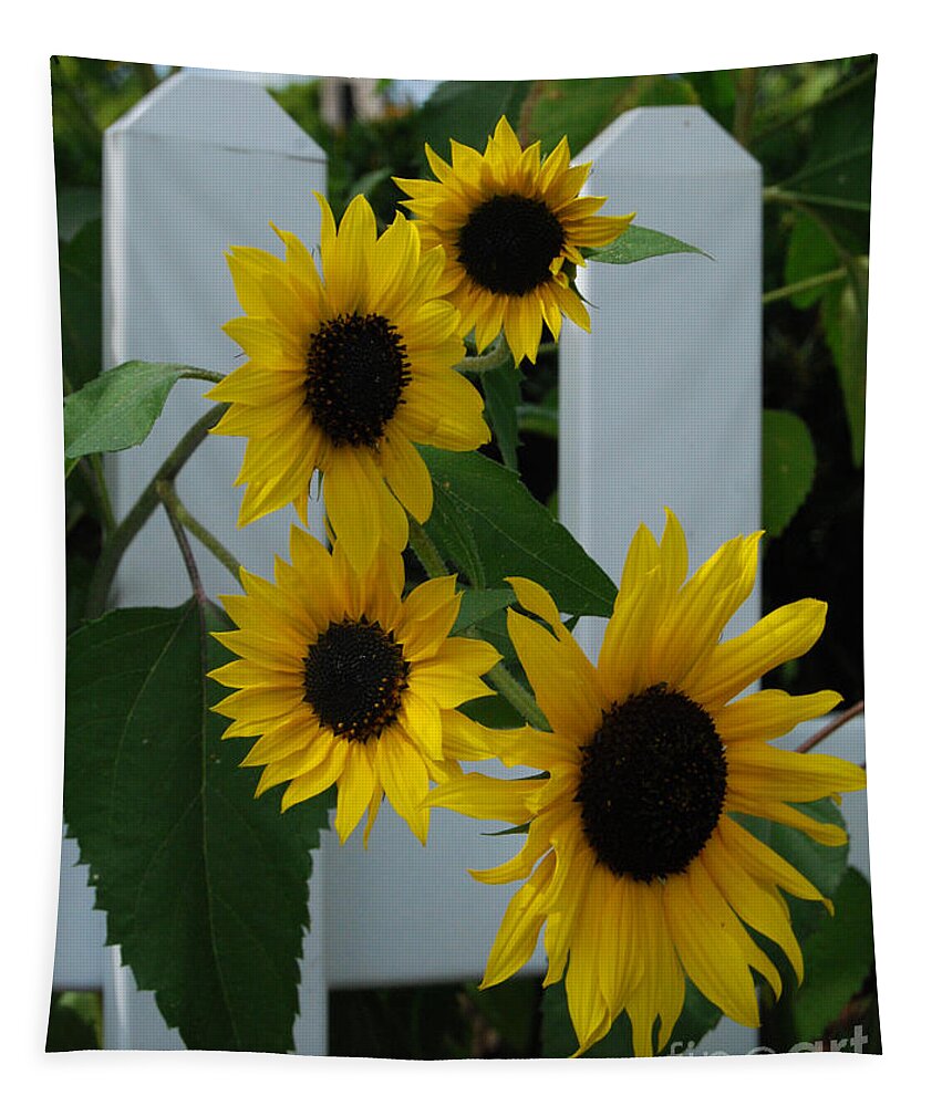 Sunflowers Tapestry featuring the photograph Flowers on a Fence by Grace Grogan