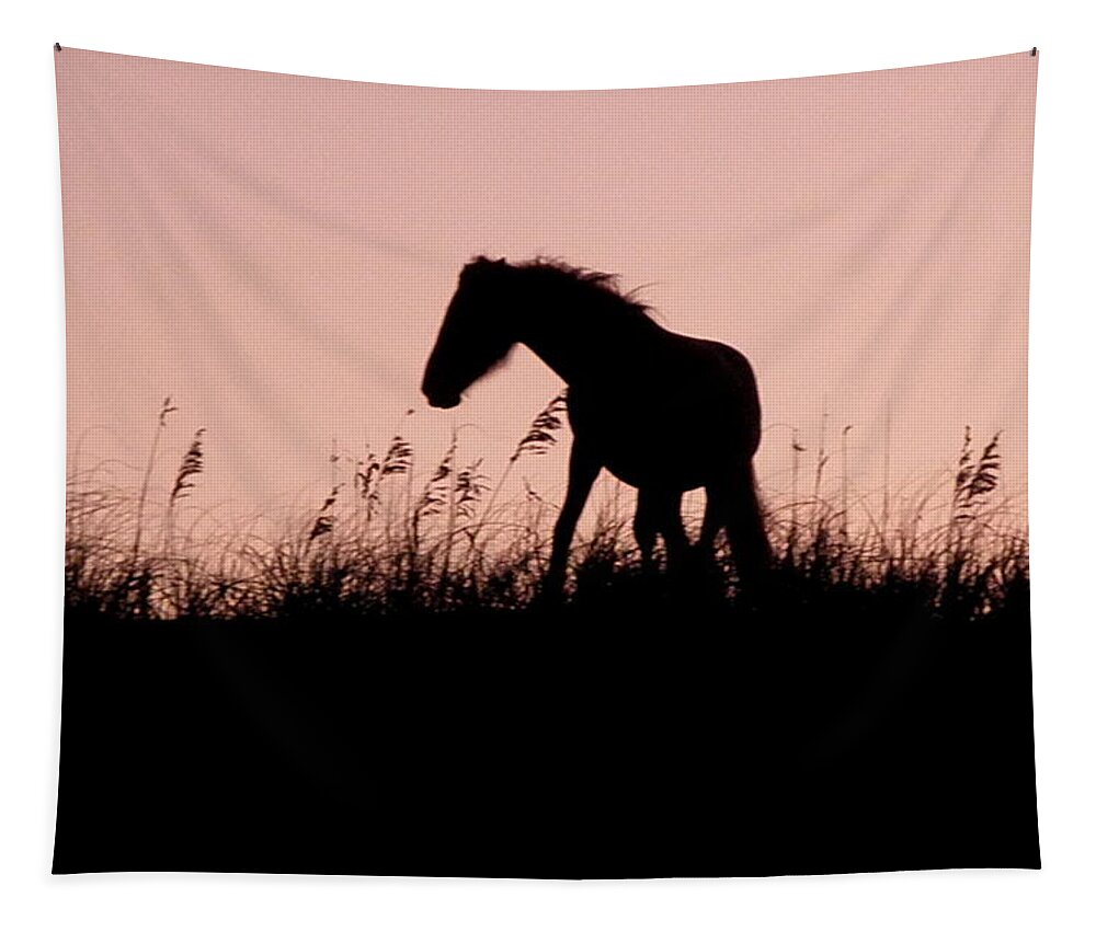 Foal Tapestry featuring the photograph Foal At Sunset by Kim Galluzzo Wozniak