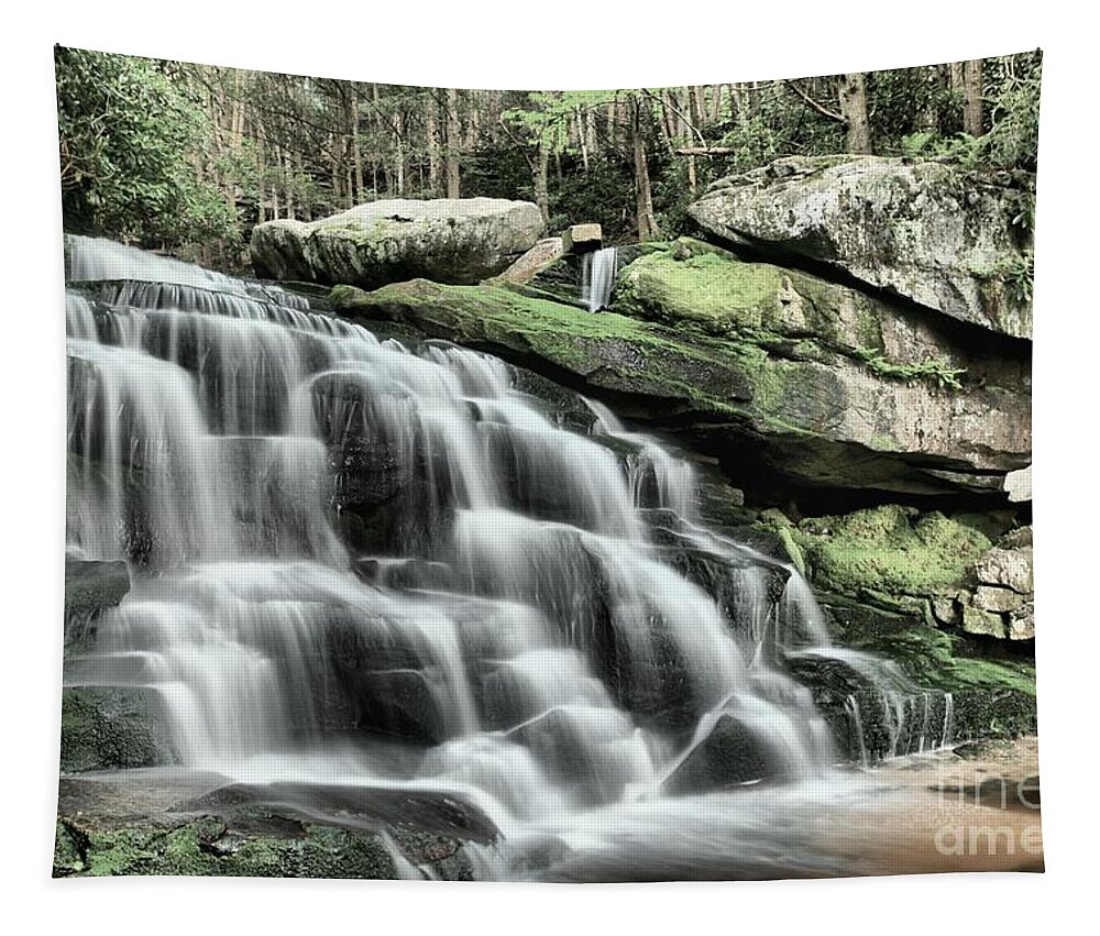 Black Water Falls State Park Tapestry featuring the photograph Forest Cascade by Adam Jewell