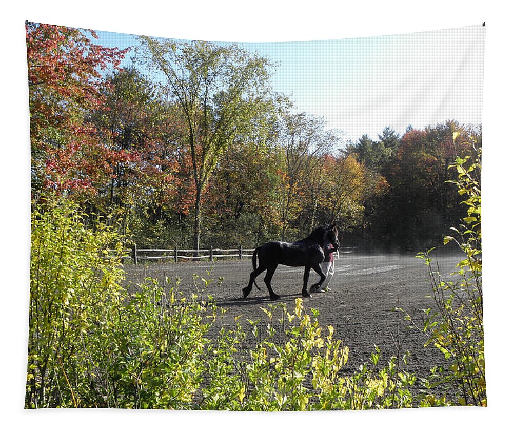 Friesian Horse Tapestry featuring the photograph Frieisian Fall Setting by Kim Galluzzo