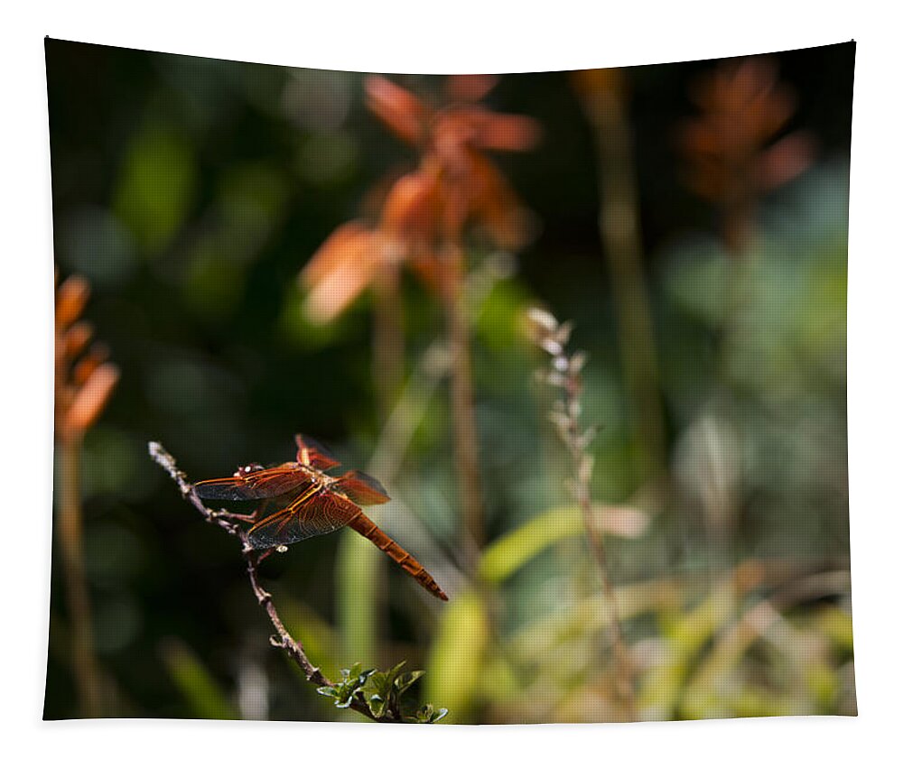 Dragonfly Tapestry featuring the photograph Garden Orange by Priya Ghose