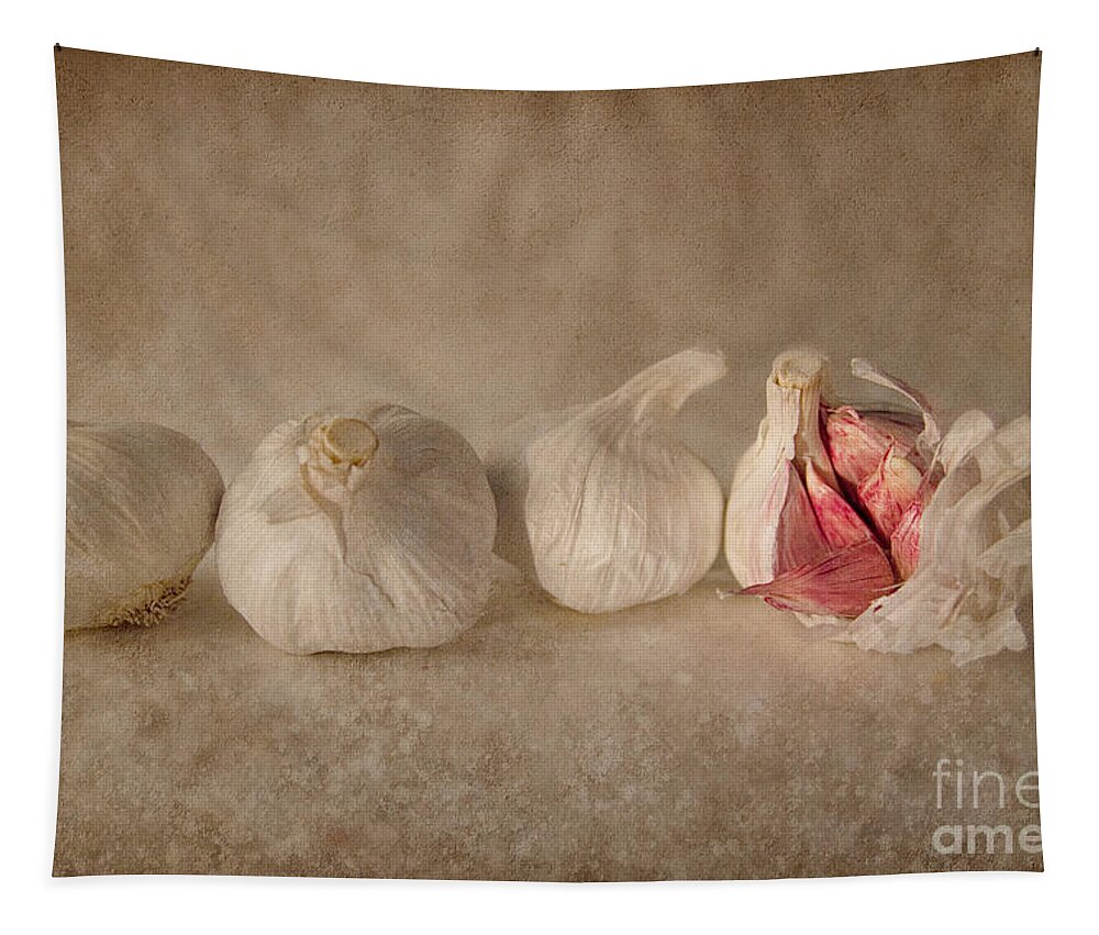 Garlic Tapestry featuring the photograph Garlic and Textures by Ann Garrett