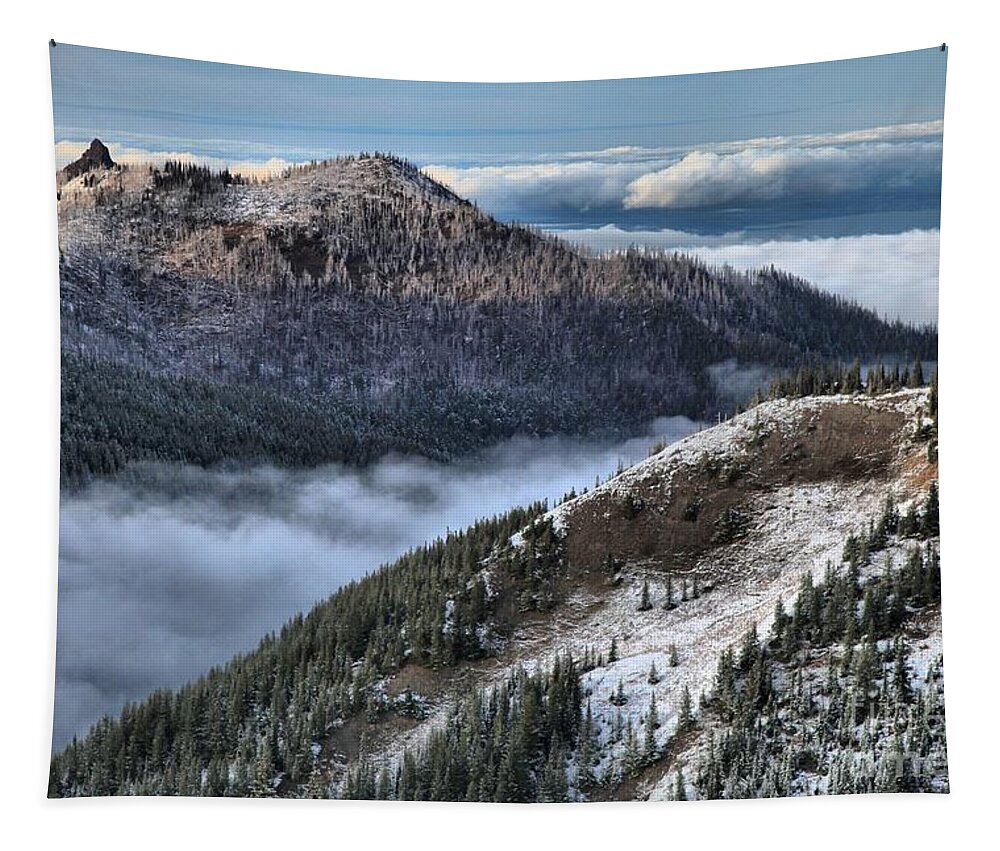 Hurricane Ridge Tapestry featuring the photograph Gazing Over The Pacific by Adam Jewell