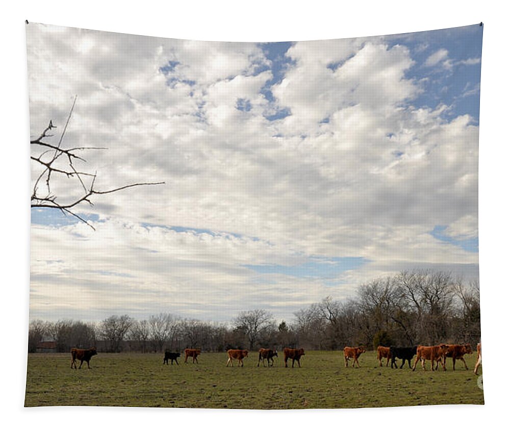 Texas Sky Tapestry featuring the photograph Going Home by Cheryl McClure